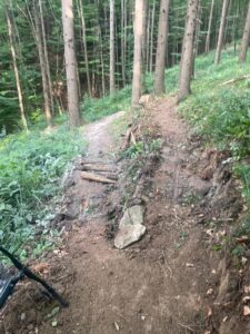 Umfahrung Sektion C des Pyhra Trails - zwei nebeneinander verlaufende Stücke Mountainbikestrecke
