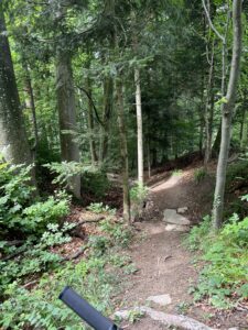 Verbesserte Wasserquerung am Elsbeere Singletrail - eine Mountainbikestrecke, deren Waldboden durch von Hand angeordnete Steine unterbrochen wird